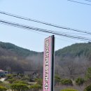 동수리막국수
