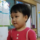 꼬꼬향기 이미지
