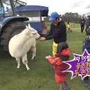 [아빠어디가] 알파카편 성동일&성빈 레전드 이미지