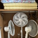 강진자연드림 이미지