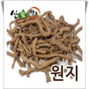 원지한의원 Daum카페