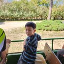 호진목장 이미지