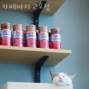 카페마치2호점