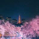 또치 Daum카페