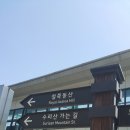 철쭉동산 이미지
