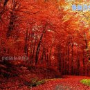 (주) 향산관광 이미지