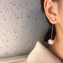 마할키타 이미지