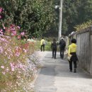 팔공산올레길 3코스 이미지