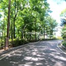 렉슬휘트니스_2 이미지