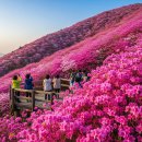 개화2리마을회관 이미지