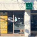 콩유소 네이버블로그
