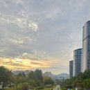 펀포레스트 이미지