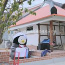 시골소풍 이미지