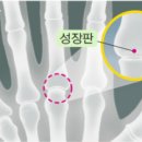 서울우리의원 이미지