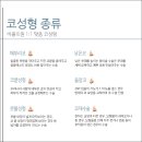 예쁜라인성형외과의원 이미지