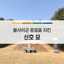 신호 묘 이미지