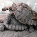 돌보미의료기 이미지