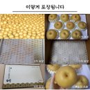 석구농장 Daum카페