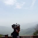 악양면사무소 Daum카페