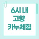고향찬반 | 6시 내고향 홍천 카누 체험 배바위 마을 예약 팁까지