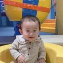 강서초등학교 이미지