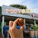 경부고속도로 천안호두휴게소 호두과자 맛집 솔직후기 식당메뉴 수유실 전기차충전소