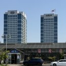 우리공판장 | 양재동화훼공판장 : 양재 꽃시장 • 화분 구매 후기