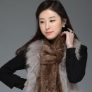 BOB PC LAB 이미지