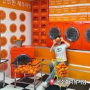 브이센터 더 라이브 뮤지엄 | 제주홀릭뮤지엄 후기ㅣ비오는 날 가기 좋은 제주도 실내관광지 (관람 소요시간)