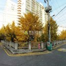 충장로103번길 이미지