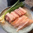 보성녹돈 | 삼송역 고기집 보성숯불가든 청정녹돈 직화구이 맛집 후기