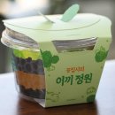 자연가습 이끼 테라리엄 | 식물 인테리어의 시작~ 실내 가습기~이끼 테라리움 만들기 후기