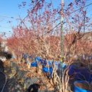 문기 농장 이미지