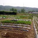 힘찬농장 이미지