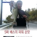 탑피싱 - 완도군 장보고대로 253-10 | 탑피싱