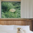 웰컴스테이A 이미지