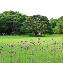 기합소리태권도 이미지