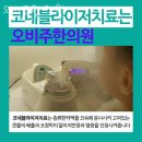 오비주한의원 | 강남구 신사동 한의원 오비주한의원 위치 오는길 후기