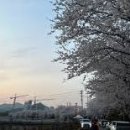 목사내아 기타 이미지