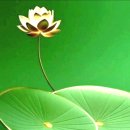 J. 마스네_ 오페라 Thais 中 Meditation from Thais(타이스 명상곡) 이미지
