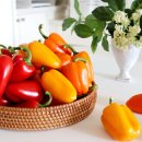 해오름농장 3 이미지