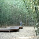 구룡마을 대나무숲, 푸른 자연 속에서 힐링 이미지