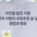 푸른꿈고등학교 이미지