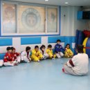 용인대 태권도장 이미지