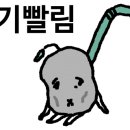 낭만과순정 이미지