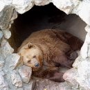 분당도서관 이미지