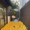 아트비앤에스 네이버블로그