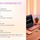 노마드 | 해외에서 살아본 디지털노마드 생활 리얼 후기