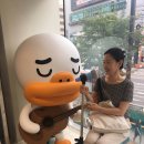 보배펫 이미지