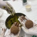 바우라움 메인캠퍼스 이미지